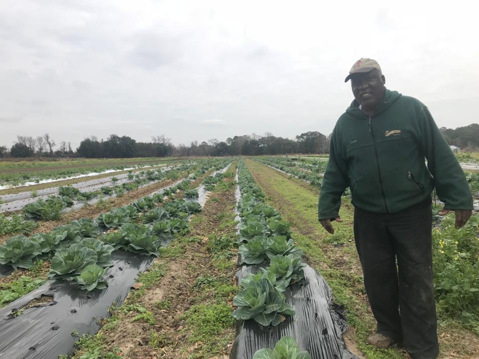 Joseph Fields stands next to rows of cabbage at his family farm on Johns Island, S.C.