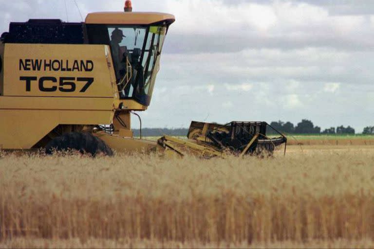 La empresa implementará un modelo bajo contrato para la producción del trigo transgénico cuando se apruebe en Brasil