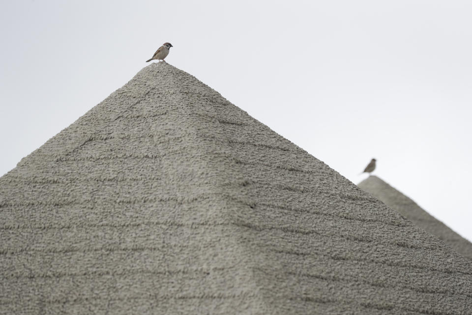 Birds rest on top of roofs covered in volcanic-ash at a park near Taal volcano in Tagaytay, Cavite province, southern Philippines on Sunday Jan. 19, 2020. Philippine officials said Sunday the government will no longer allow villagers to return to a crater-studded island where an erupting Taal volcano lies, warning that living there would be "like having a gun pointed at you." (AP Photo/Aaron Favila)