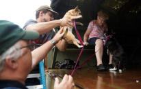 <p>Pets are evacuated from flood waters from Hurricane Harvey in Dickinson, Texas Aug. 27, 2017. (Photo: Rick Wilking/Reuters) </p>