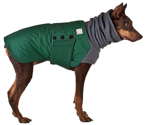 Doberman Pincher Winter Dog Coat