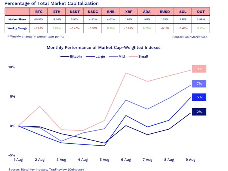 The percentage of total market capitalization and monthly performance of market cap-weighted indexes (Bietchley Indexes, CoinMarketCap and TradingView)