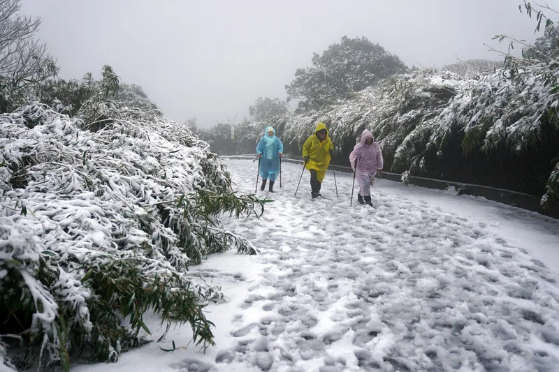 寒流發威，陽明山23日清晨降雪，不少民眾一早拄著登山杖，在大屯山賞雪。中央氣象署預報24日水氣減少，降雪區域會縮小，機率也降低。（中央社）