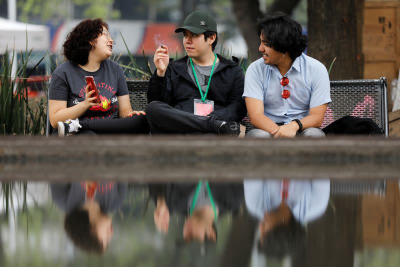 Cannabis garden next to Mexico's Senate building in call for legalization