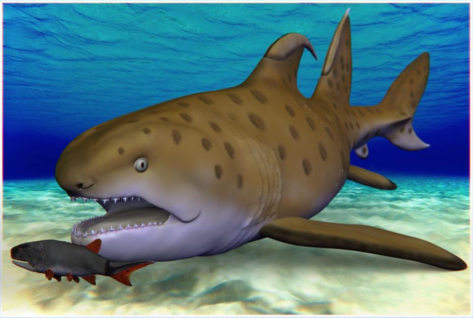 Paleontologists have finally settled on an official, taxonomic name for the 300-million-year-old "Godzilla Shark," although it's not nearly as cool.