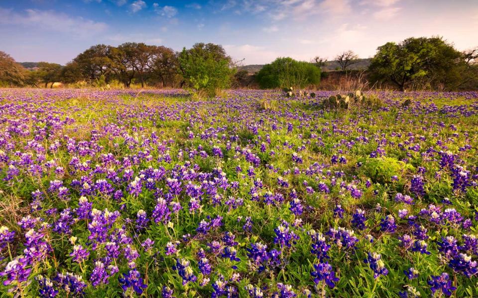 Fredericksburg, Texas