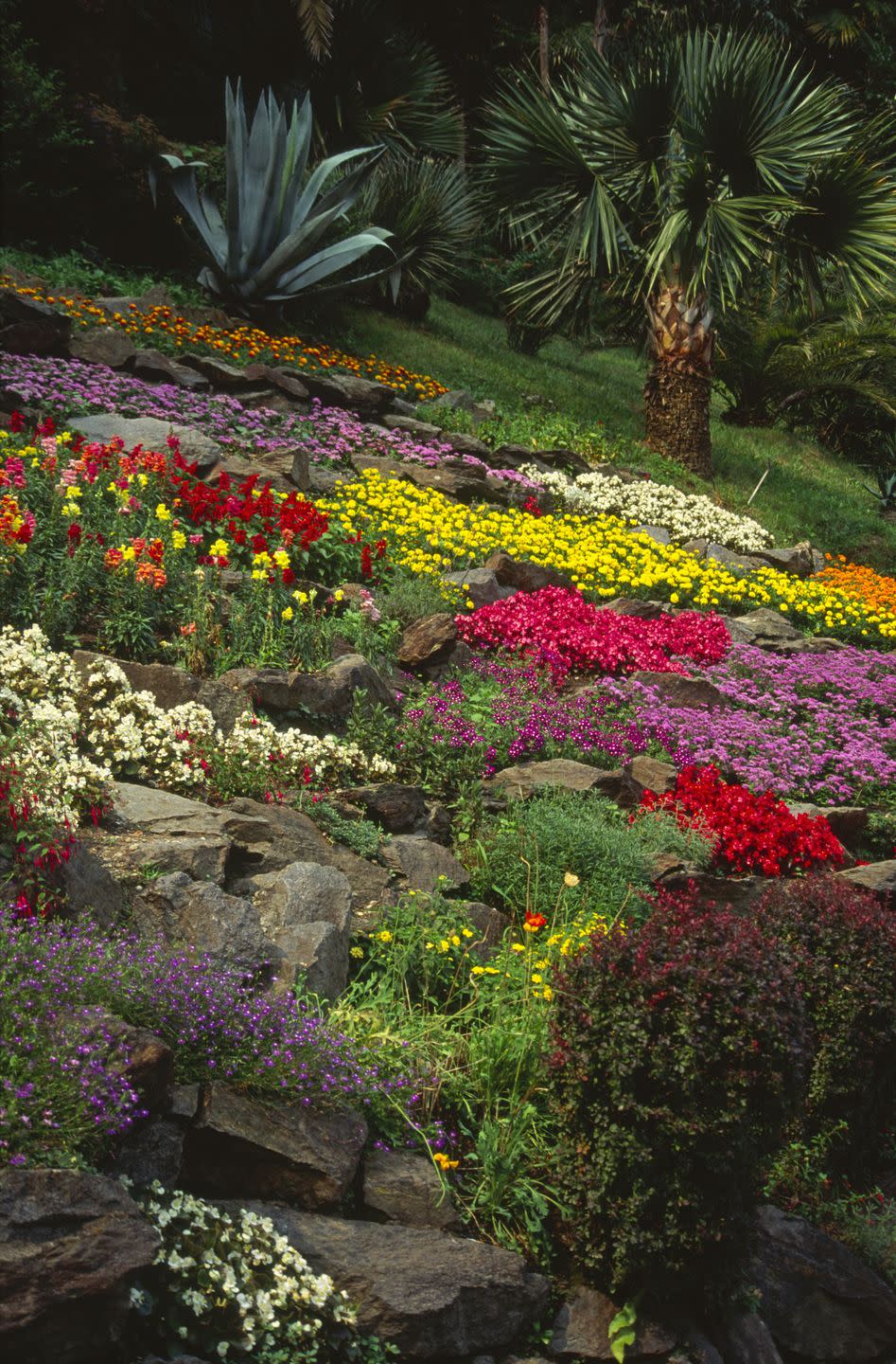 villa carlotta italian rock garden