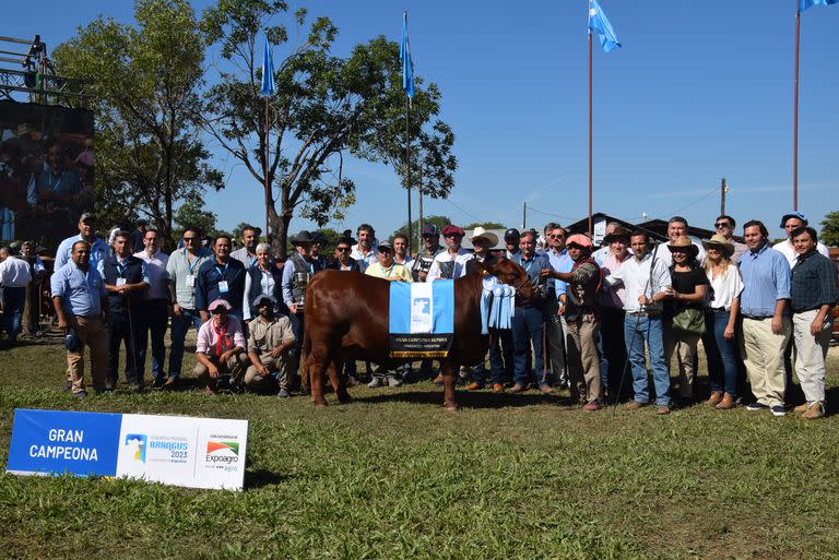 Gran Campeón Hembra Brangus de San Vicente, Sanda y Ganadera Arandú