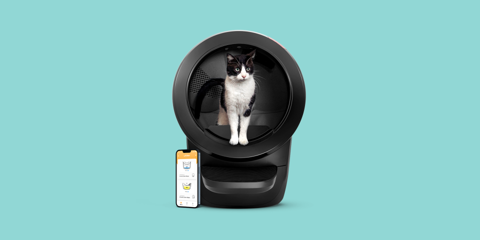 Self-Cleaning Litter Boxes Take the "Ick" Out of Cleaning the Cat Box