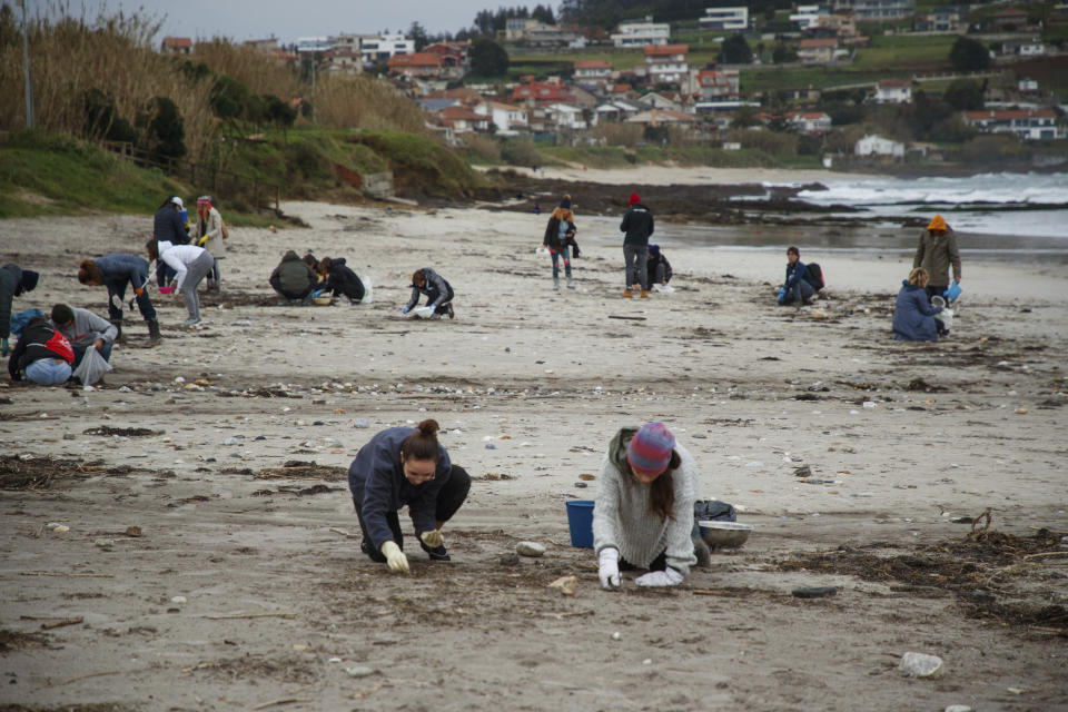 Volunteers collect plastic pellets from a beach in Nigran, Pontevedra, Spain, Tuesday, Jan. 9, 2024. Spanish state prosecutors have opened an investigation into countless tiny plastic pellets washing up on the country's northwest coastline after they were spilled from a transport ship. (AP Photo/Lalo R. Villar)