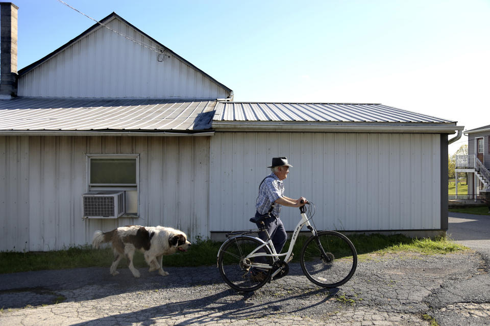 In this Monday, May 4, 2020, photo, Aaron Hurst, 67, owner of AAA Farm Supply walks home with his dog Ralph after a day of work in Terre Hill, Pa. (AP Photo/Jessie Wardarski)