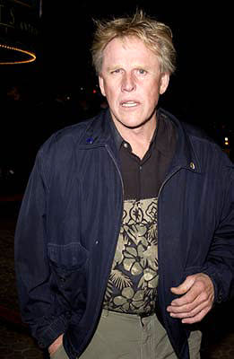 Gary Busey at the Westwood premiere of MGM's Bandits