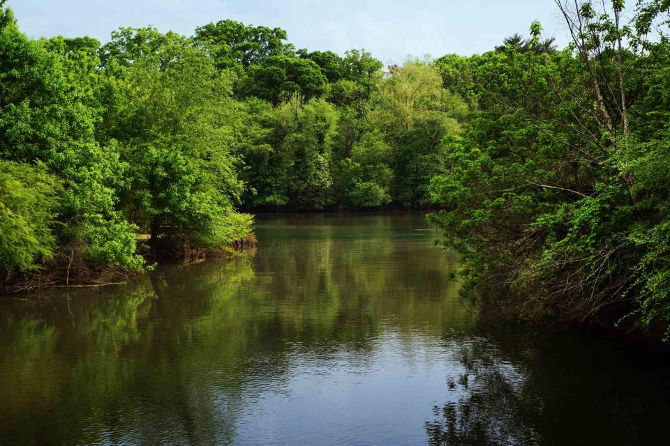 <p>Getty</p> Chattahoochee River, where the English Bulldog was found drowned in a cage with rocks