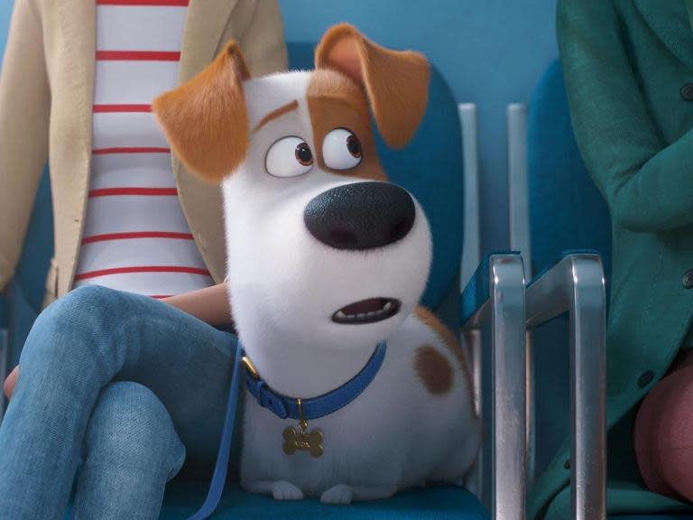 Dir: Chris Renaud; voiced by: Patton Oswalt, Eric Stonestreet, Kevin Hart, Jenny Slate Ellie Kemper, Lake Bell. Cert U, 86 minsThe Secret Life of Pets 2, the latest animated feature from the Illumination stable, is a definite upgrade on its predecessor. It’s full of zest, wit and charm even if its storyline is a bit of a dog’s dinner. The canine and feline characters are very vividly drawn and the human characters are sensibly kept well in the background.Like a dog walker being dragged in multiple different directions, director Chris Renaud struggles to keep control of a story featuring many different pets, each pulling against the other. One strand of the narrative features Max (now voiced by Patton Oswalt instead of the disgraced comedian Louis CK), the scrappy Jack Russell terrier. He doesn’t like kids at all. He and Duke (an under-used Eric Stonestreet), the shaggy Newfoundland, are initially very unhappy when their owner Katie gets married and has a baby. “A tiny monster taking over,” is how Max characterises the new arrival, but he is very quickly won by the adorable little tot. It’s typical of the film’s erratic plotting that so much fuss is made of Max’s aversion to the baby – and then, moments later, he is cooing over it.Another part of the story involves the fast-talking rabbit, Snowball (again voiced in motormouth fashion by Kevin Hart), and his efforts to rescue a white tiger from an evil circus owner.The most endearing section of the film follows Gidget, the very precious and sniffy-nosed white Pomeranian who has to pass herself off as a cat to retrieve Max’s favourite squeezy toy. In one of the film’s more improbable scenes, this toy somehow slips out of her paws and ends up in a far away part of town.The film also features an interlude on a country ranch where Max encounters the ruggedly macho and John Wayne-like sheepdog Rooster (voiced in drawling fashion by Harrison Ford), learns a few life lessons from him, rescues a little lamb, and discovers the joy of howling at the moon.Director Renaud has a liking for day-glo colour with eye-popping reds and blues to the fore. The film opens with a sequence in Central Park in which the cherry trees are such a strident pink that you almost have to avert your eyes to avoid the glare. The animals here all look as sparkling and clean as if they’ve just been put through a cycle in the washing machine.One of the most ingenious facets of the film is the way it mingles the animal and the human elements. The cats and dogs really do behave like cats and dogs. The animators have clearly studied the way they sniff, scratch, screech and claw the furniture in minute detail. Their movements are very lifelike. However, they talk and think like humans. Their neuroses are very human too. There’s a wonderful scene in which Max goes to the vet (who turns out to be a shrink for animals) and encounters hamsters with manic depression and dogs with personality disorders.This may be a film aimed primarily at the kids but it has plenty of jokes to amuse the adults as well. It’s a deceptive affair, far more anarchic and subversive in its humour than its more infantile moments would suggest. Everything in the world of The Secret Life of Pets 2 is so bright and shiny that we don’t immediately register that we are watching puppies pooping in boots, babies eating the dog food and cats vomiting up rodents. The animals here may look cuddly enough but the film hasn’t hidden their feral qualities altogether. It wouldn’t take very much tinkering to make this film seem very savage indeed.What makes this sequel so messy and inchoate is its wildly erratic narrative. The filmmakers pay far more attention to the pets than they do to the storyline about them. The end result is a film that plays like a series of short, zany self-contained sketches. They’re enjoyable enough in their own right but there is no sense here of an overarching vision or of a top dog calling the shots. Instead, everything is thrown together in the most haphazard way.The Secret Life of Pets 2 hits UK cinemas 24 May