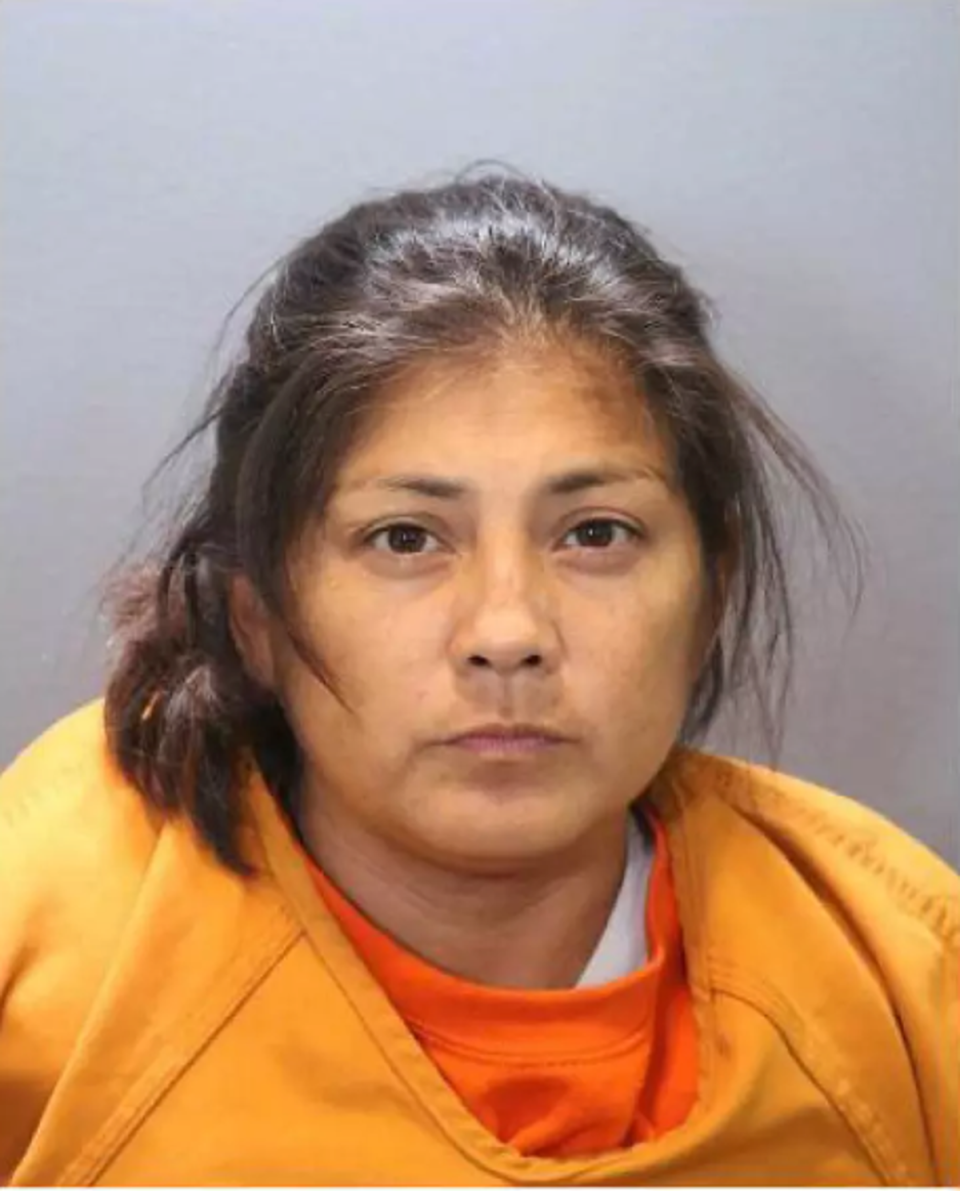 Sandra Hernandez-Cazares, 42, was 'heavily intoxicated' when she lost consciousness inside her vehicle parked outside her home in the extreme summer heat earlier this month (Orange County District Attorney)