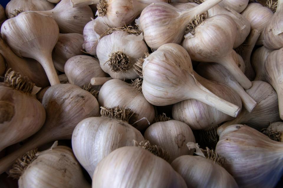 Inside the garage of the home of the Half Fast Homestead farm is a bin of hand-picked and processed garlic bulbs, found Tuesday, July 26, 2022.