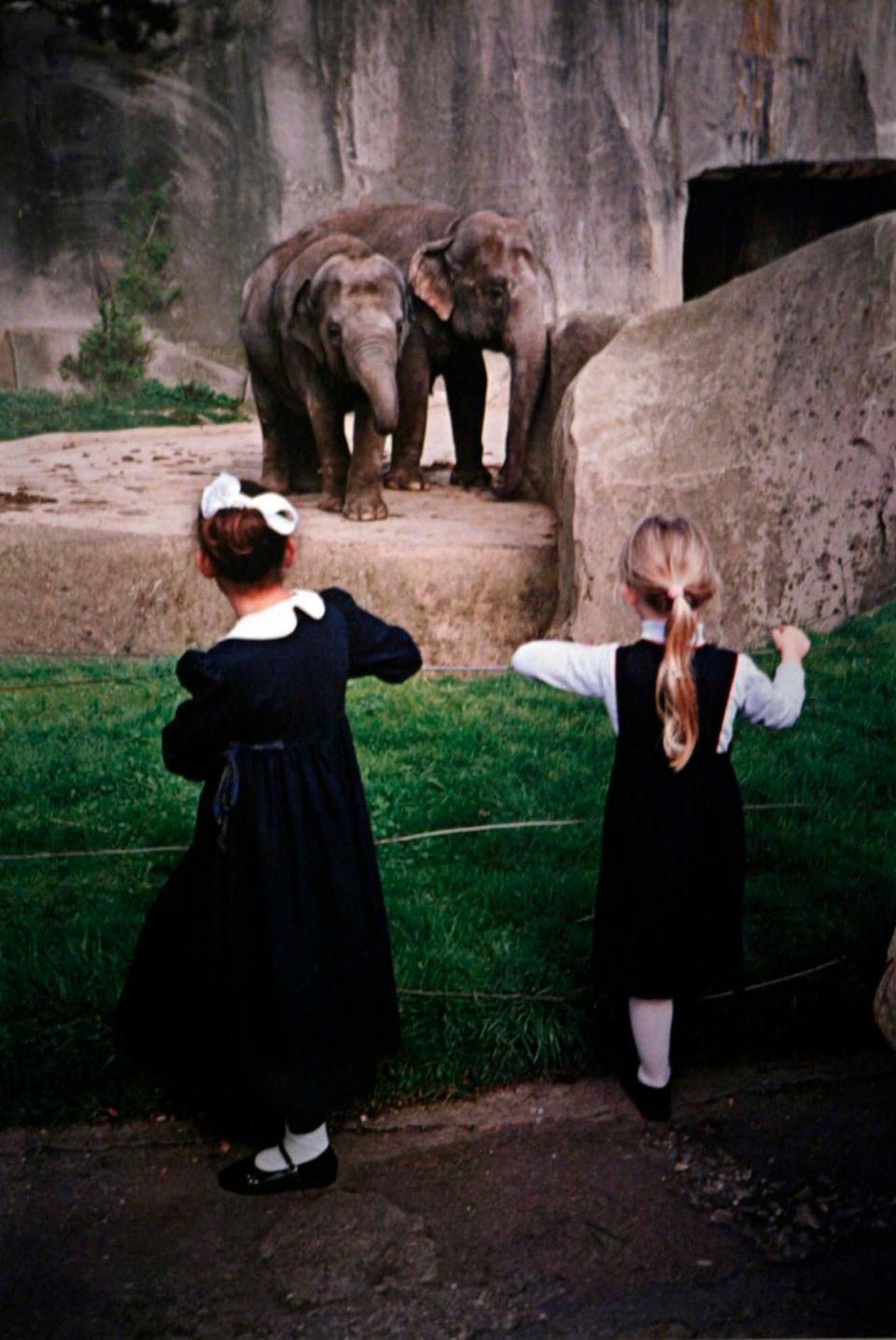 Vincennes Zoo, 1980s - Dorothy Bohm