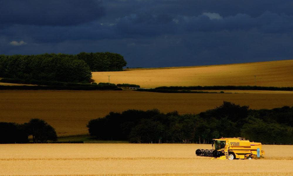 A combine harvester works its way through a field of barley in the UK’s chalk downlands as discussion continues about the shape that the Common Agricultural Policy will take.