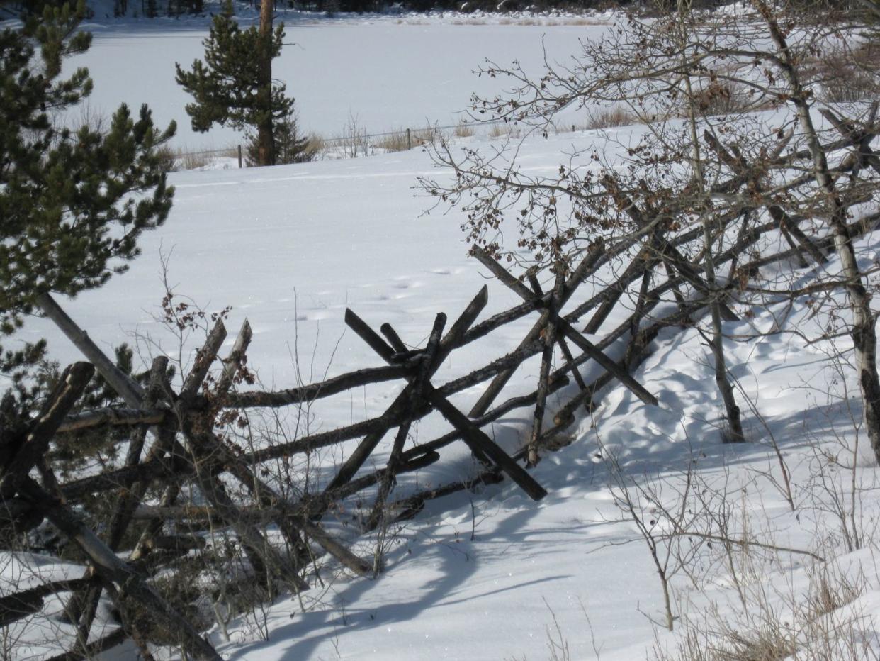 twig best fence ideas