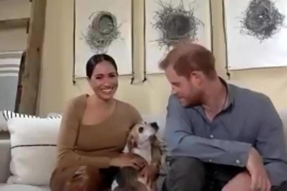 Meghan Markle, Prince Harry, and their dog Guy. Meghan is seen wearing an asymmetrical top by designer Victor Glemaud. Image via Twitter/Evening Standard. 