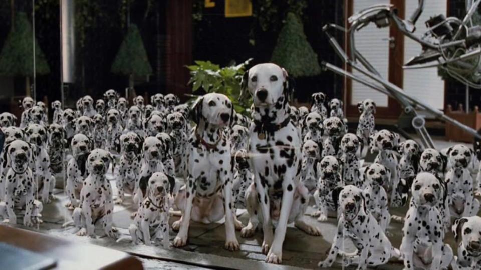 101-Dalmatians