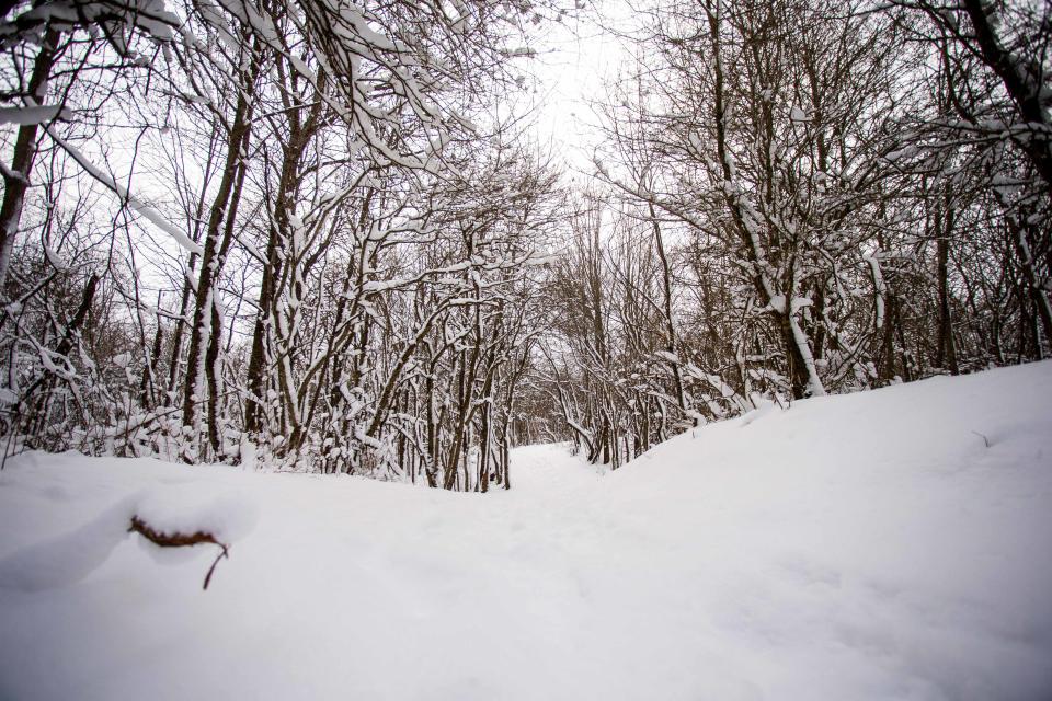 Snow-covered paths and trees rest Thursday, Jan. 6, 2022, at Van Raalte Farm Park.