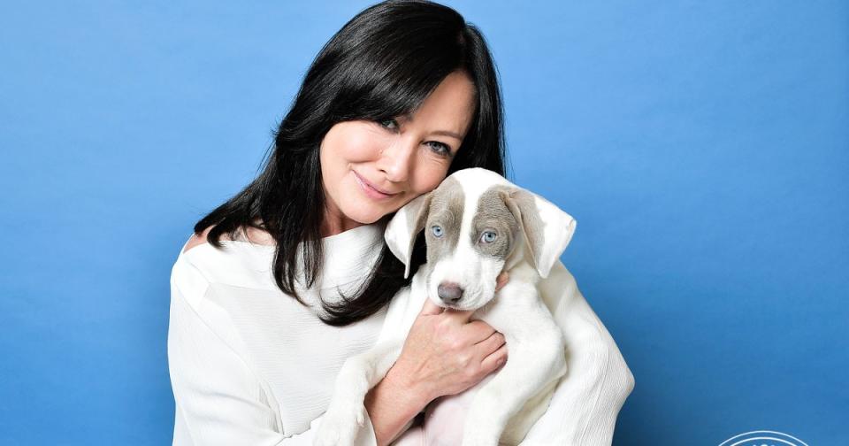 Inside the Hero Dog Awards, Where Shannen Doherty, Sarah Michelle Gellar & More Showed Their Puppy Love