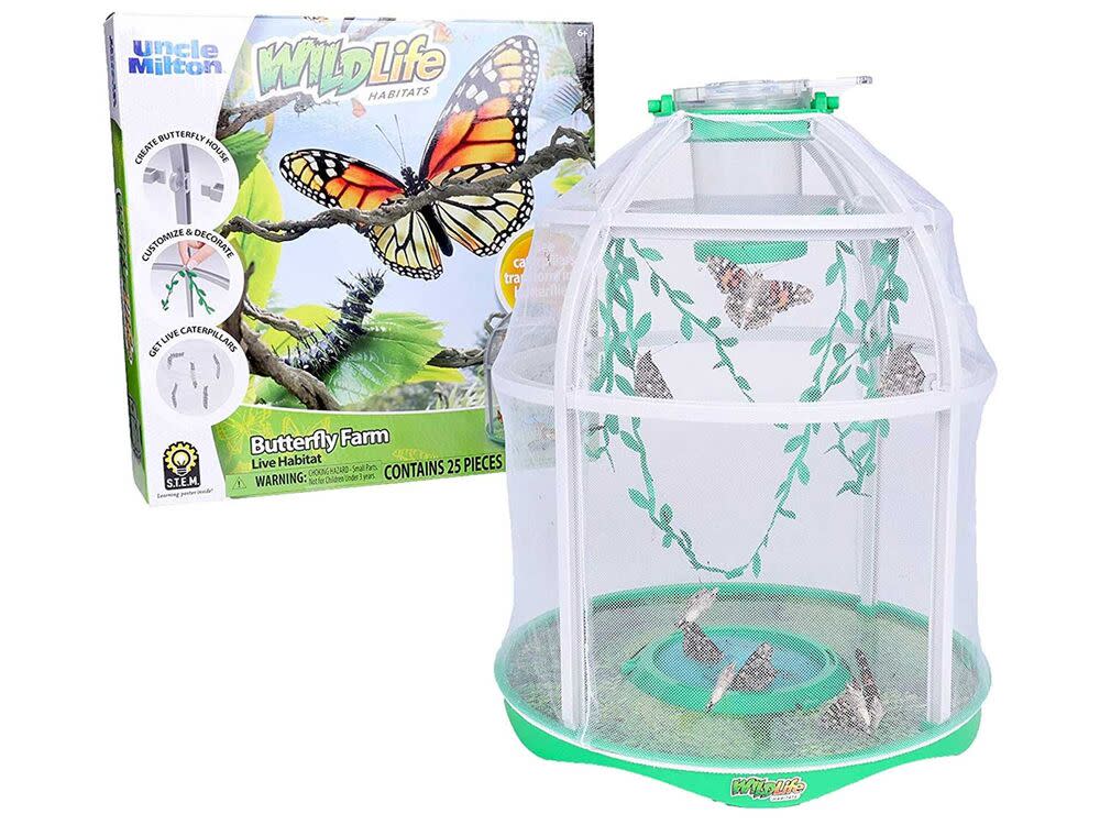 Uncle Milton Butterfly Farm Live Habitat - Observe Butterfly Lifecycle in Garden – Includes Voucher to Redeem for Caterpillars