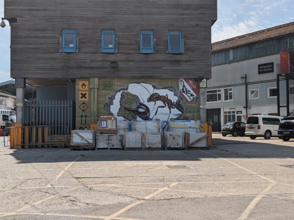 Grafitti art in South West London, 2x zoom on Pixel Fold (Alan Martin)