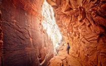 <p>Zion National Park in southern Utah is arguably the most beautiful park in the state. With sandstone cliffs jutting out of the valley in a desert-like landscape, visitors to the park will be impressed as they come around every bend. Known for its famous slot canyons, Zion is ideal for hiking and canyoneering: though that doesn’t mean that the less athletic traveler will come up short on things to do. For those willing to set off by foot, attempt the Narrows: a slot canyon hike that requires hiking across a river. While this can be a refreshing trail in the summer heat, pay close attention to the weather forecast.</p>