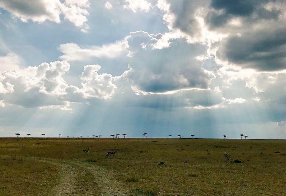 Maasai Mara