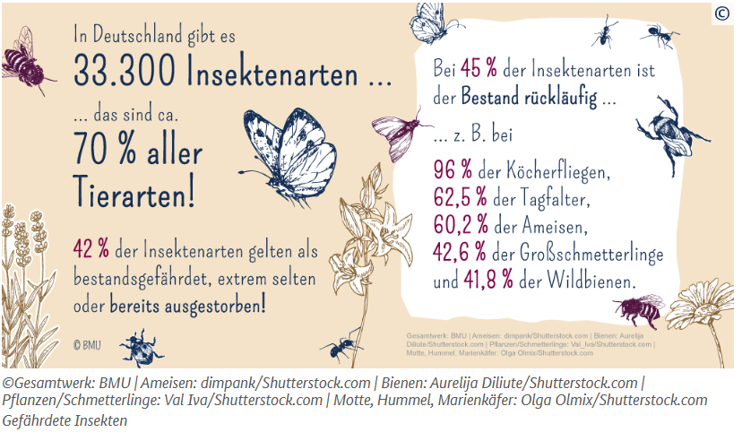 Übersicht des BMU zur Lage der Insekten in Deutschland. (Quelle: Siehe Angaben)