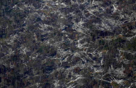 FILE PHOTO: An aerial view shows deforested land during "Operation Green Wave" conducted by agents of the Brazilian Institute for the Environment and Renewable Natural Resources, or Ibama, to combat illegal logging in Apui, in the southern region of the state of Amazonas, Brazil, August 4, 2017. REUTERS/Bruno Kelly/File Photo