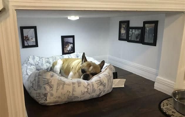 This lucky dog has his own bedroom. Photo: Twitter