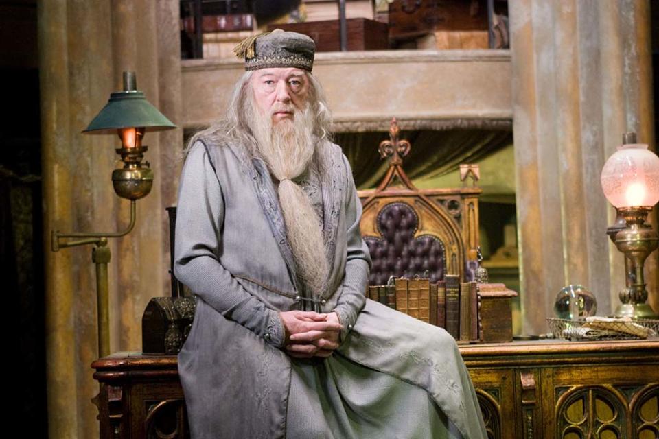 Michael Gambon in HARRY POTTER AND THE ORDER OF THE PHOENIX
