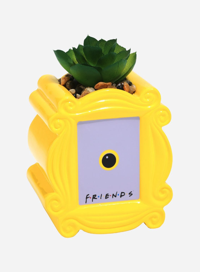 9) 'Friends' Peephole Frame Faux Succulent Planter