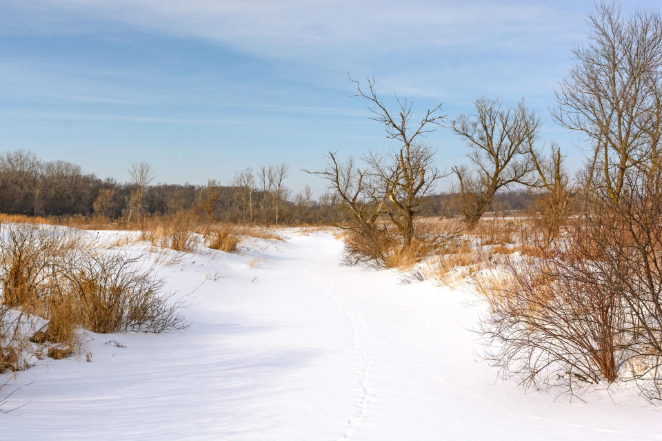 Photo of the state park in winter