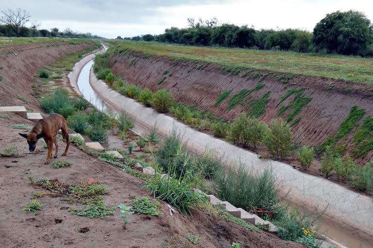 El canal recorre 200 kilómetros hormigonados, llevando agua desde Santos Lugares a Amamá, Quimilí y Tintina