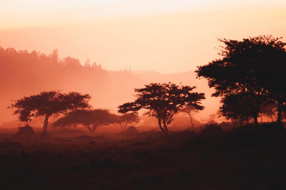 Kigali, Rwanda (Photo by maxime niyomwungeri on Unsplash)