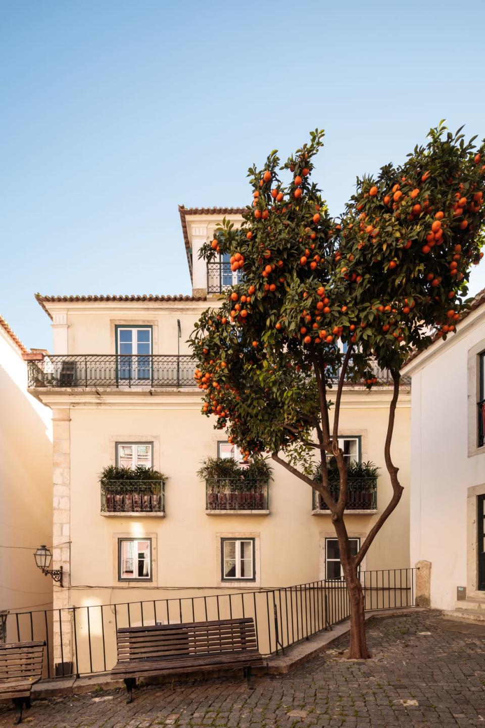 <div class="inline-image__caption"><p>Your new home may cost $4.3 million, but think about all the money you’ll save in oranges. But if the abundant citrus outside your window doesn’t fill you with comfort, rest your head easy at night knowing that while the travel influencers of the world may steal a week or two in Lisbon each year, you get to call this picturesque gem your full-time home.</p></div> <div class="inline-image__credit">Christie’s International Real Estate</div>