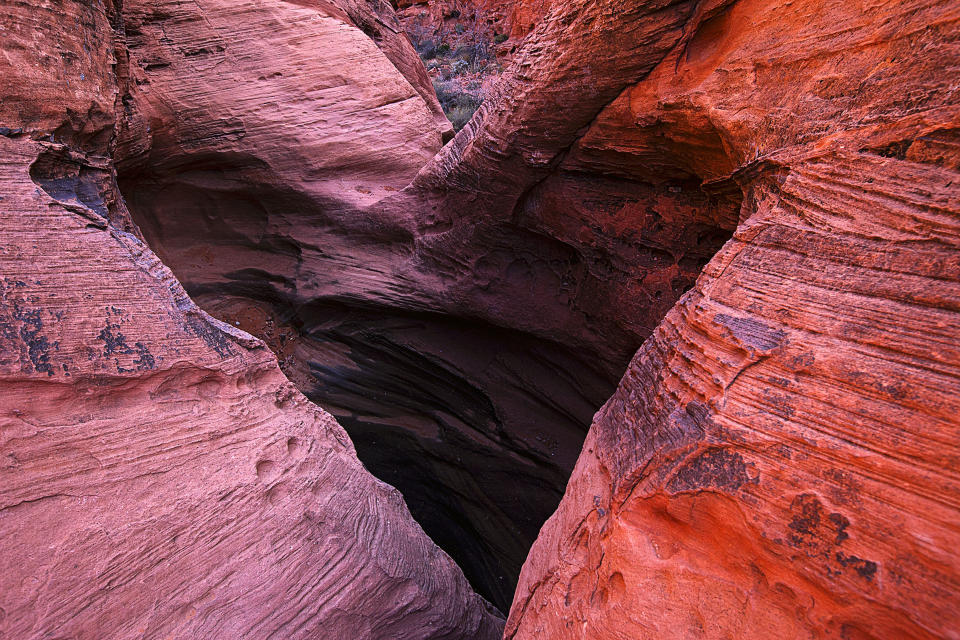 A heart shaped rock formation in Nevada. These extraordinary images, taken by photographers across the globe, show Mother Nature celebrating the big day with iconic heart shapes appearing all over the natural world. The charming pictures capture Mother Natures romantic side and feature several signs of love including an adorable fluffy penguin with a white heart emblazoned on its chest. Other natural displays include a flamingo creating a heart shape with its white and pink plumage and two swans which appear to kiss as they form a heart shape with their necks. (PIC BY ELLIE STONE / CATERS NEWS)