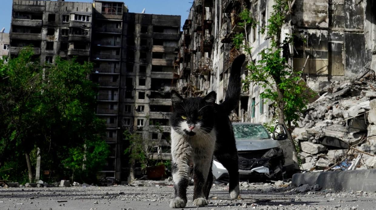 Destroyed houses in Mariupol in May 2022. Photo: Getty Images