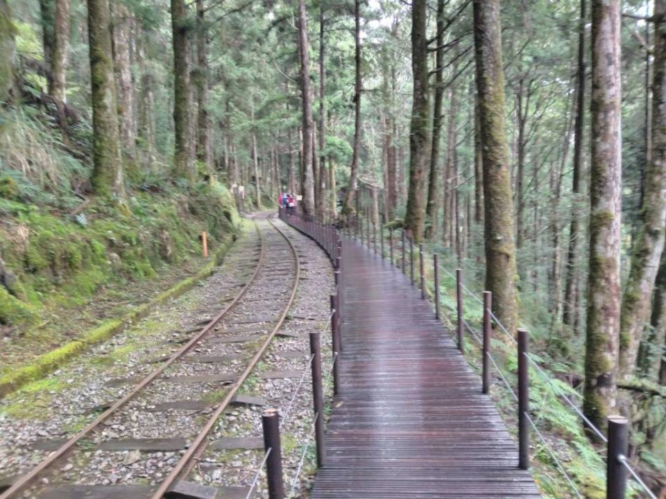 太平山茂興森林步道。（中華旅行社提供）