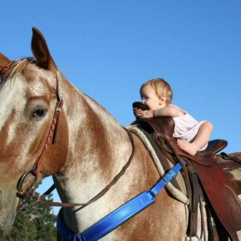 Traditional Chinese beliefs hold that those born in the Year of the Horse share certain qualities and personalities. What does this mean for you and Baby?