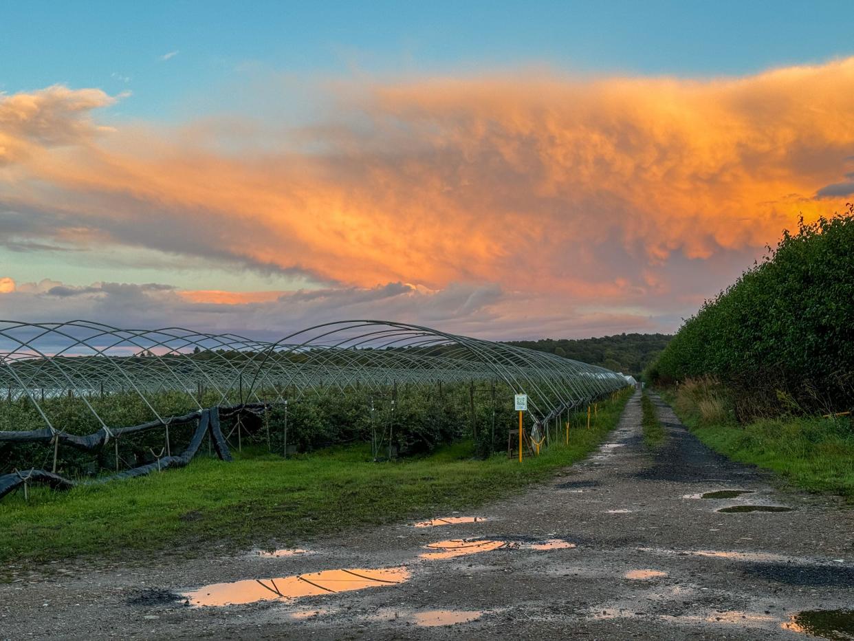 Thunderstorms at sunset over Godalming in Surrey this week. (PA/Alamy)