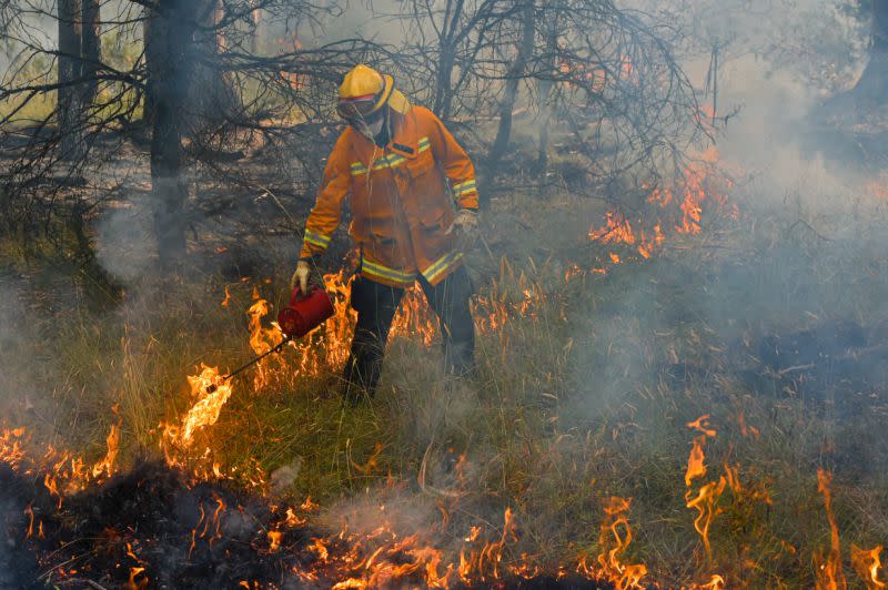 A firefighter hoses a bushfire near Corryong in Victoria. 