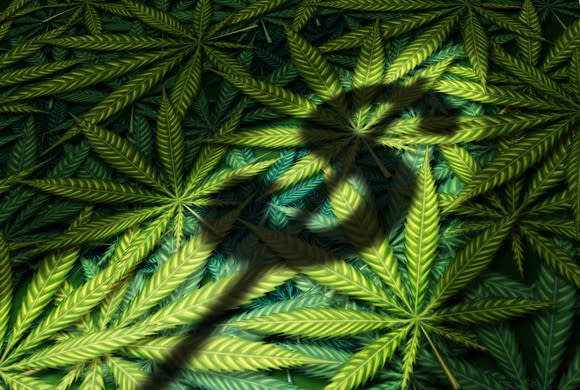 A dollar sign shadow being cast atop a pile of cannabis leaves.
