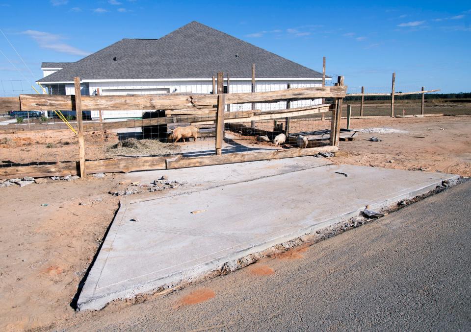 Chumuckla area resident Bill Lewis built this pig pen on his property to disrupt the neighborhood and bring light to the fact that homebuilder D.R. Horton built driveways through his property without his permission. Lewis owns the right of way between the street and homes that line Dewey Jernigan Road.