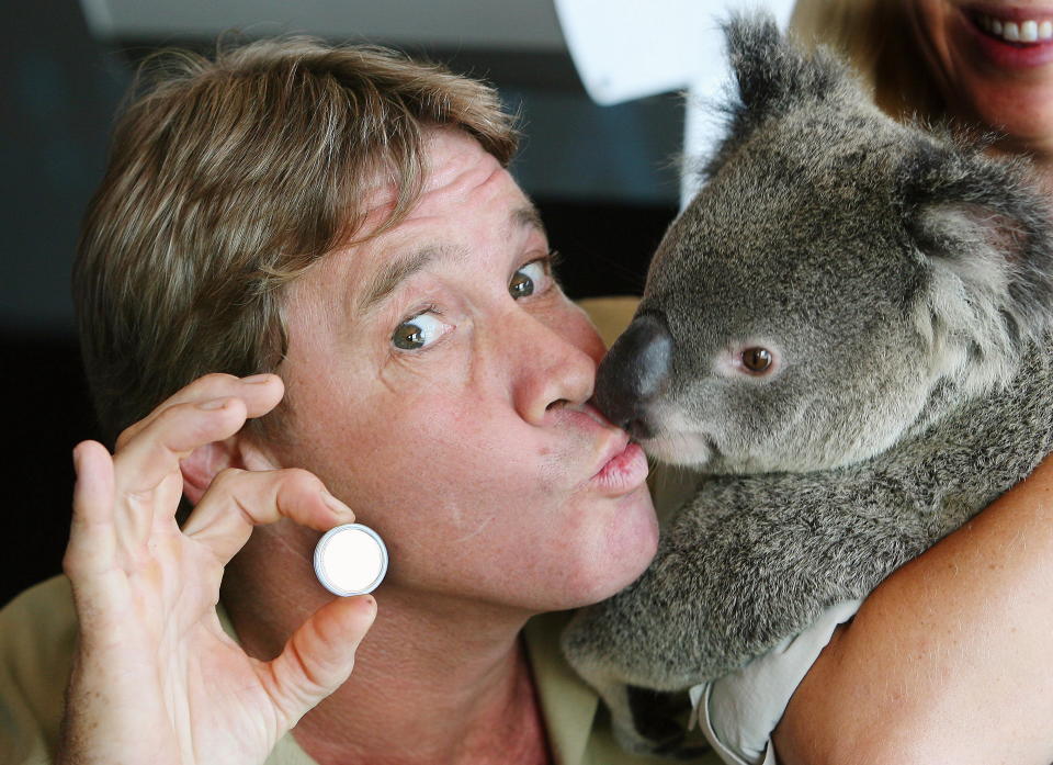 SUNSHINE COAST, AUSTRALIA - JANUARY 24, 2006:  (EUROPE AND AUSTRALASIA OUT) 'Crocodile Hunter' Steve Irwin with 'Luca' the Koala and a legal tender coin released by Perth Mint. (Photo by Newspix/Getty Images)