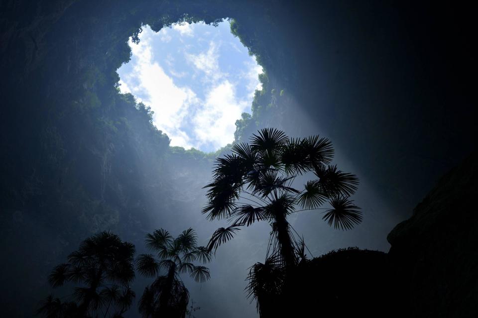  A tree in a dark sinkhole with a hole in the top showing blue sky and clouds. 